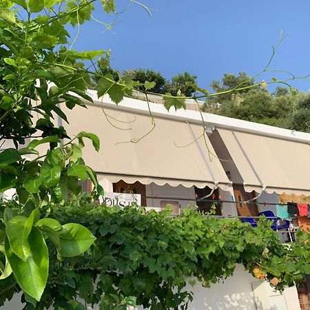 Sea La Vie Anesti Apartment Борш Екстериор снимка