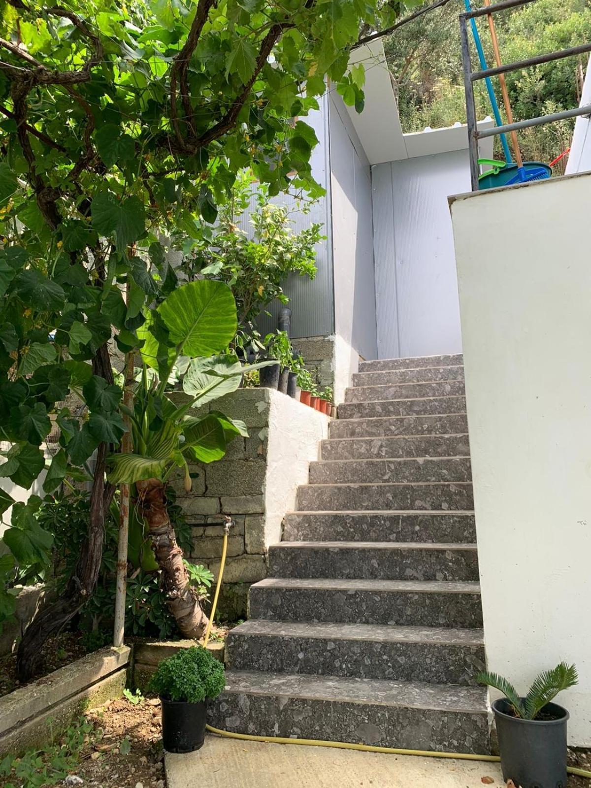 Sea La Vie Anesti Apartment Борш Екстериор снимка